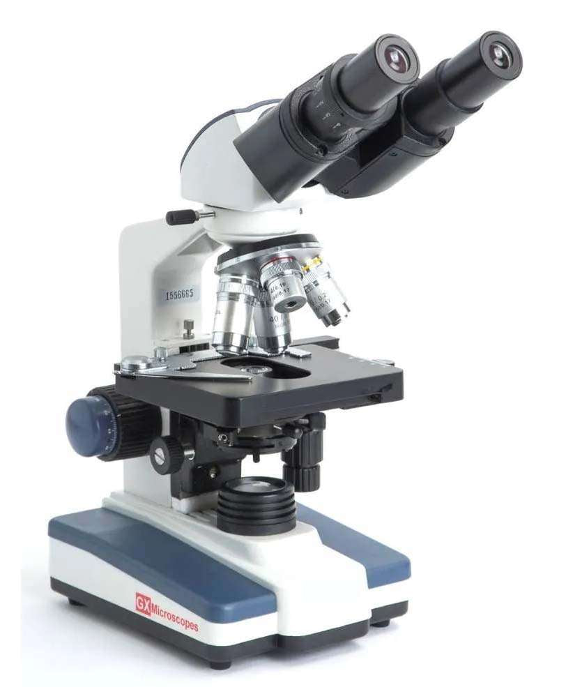 Bioscience Microscope Life Science - Biological Microscopes For Various Applications