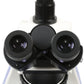 UltraBIO-6 Trinocular Phase Contrast Microscope with Infinity Optics and Köhler LED