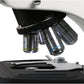 UltraBIO-6 Trinocular Phase Contrast Microscope with Infinity Optics and Köhler LED