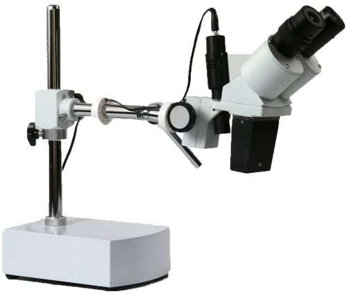 C2-D stereo microscope