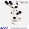 stereo microscope