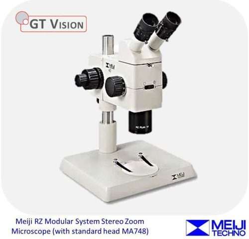 stereo microscope