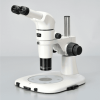 stereo microscope