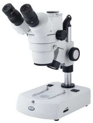 stereo microscope