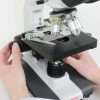 GX Microscopes UltraBIO-3 40X-1000X Routine Grade, Upright Microscope