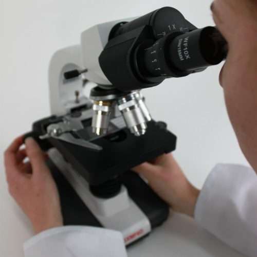 GX Microscopes UltraBIO-3 40X-1000X Routine Grade, Upright Microscope