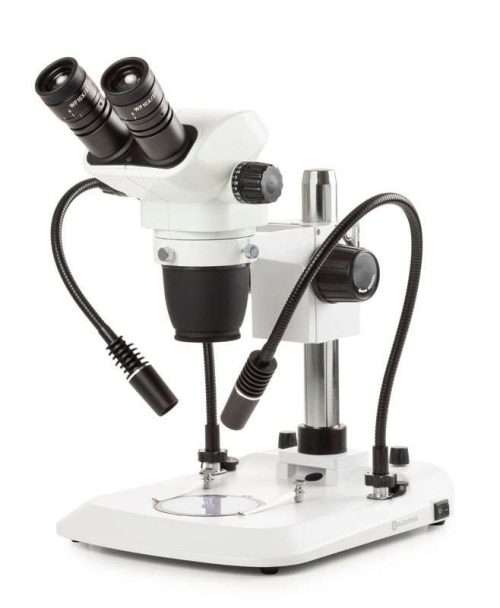 stereo microscope