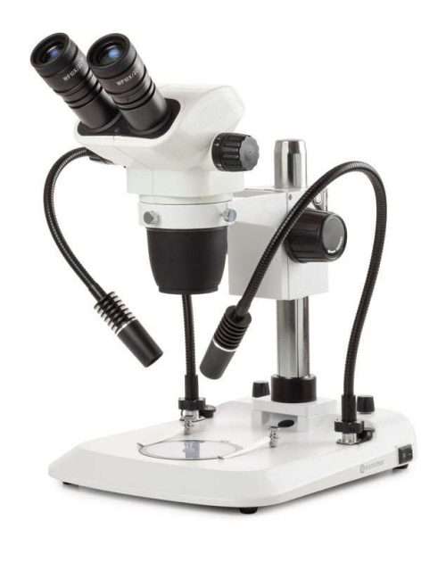 stereo microscope