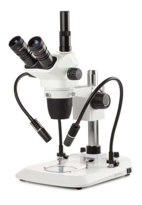 stereo microscope