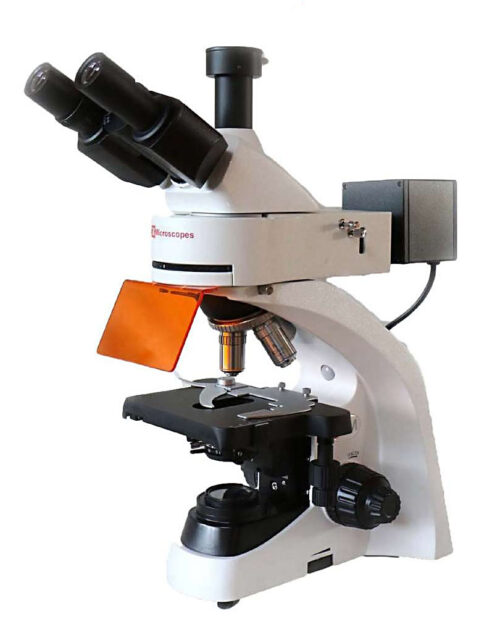 ultraBIO-5 fluorescence microscope