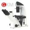 XDS-400 Inverted Biological Microscope