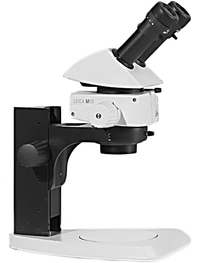 Leica M50 stereo microscope