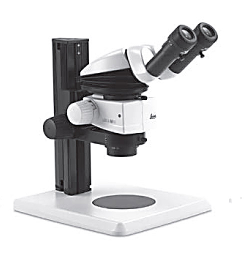 Leica M60 stereo microscope