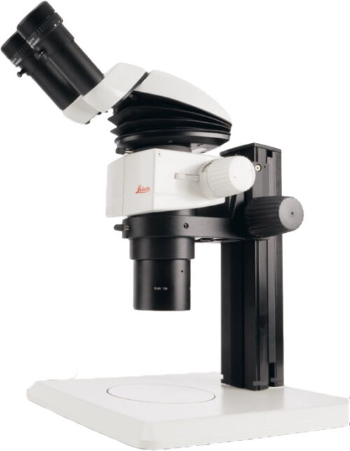 Leica M80 stereo microscope