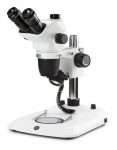 stereo microscope