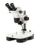 stereo microscope