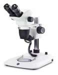 stereo microscope