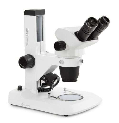 stereo microscope