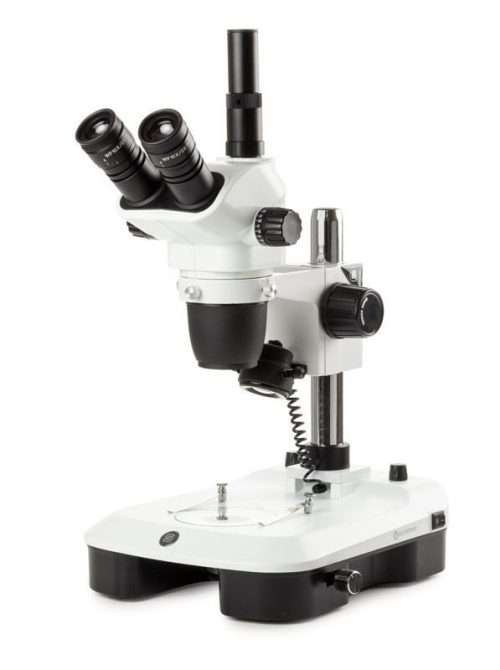 stereo microscope