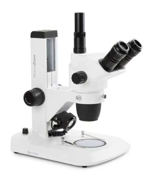 stereo microscope