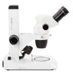 stereo microscope