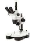 stereo microscope