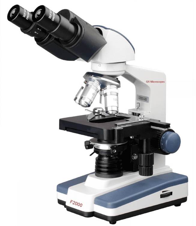 Microscopes For viewing bees - GX Microscopes ultraBIO-2