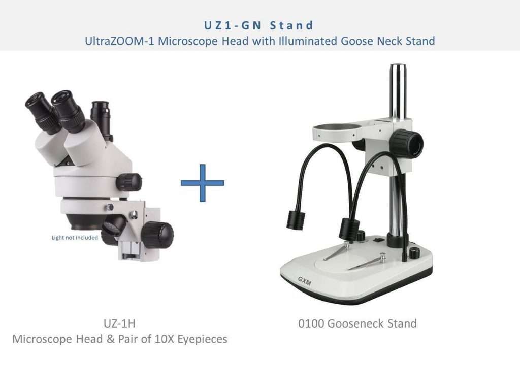 Best Microscope for Students 