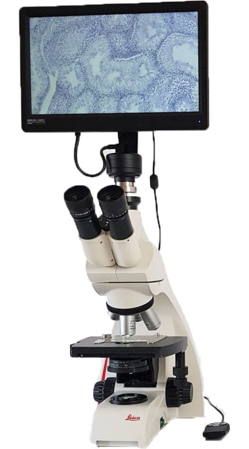 Leica DM500-DIGI biological digital microscope