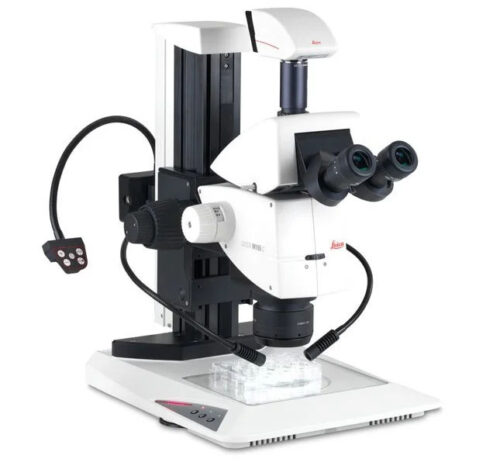 Leica M165C stereo microscope