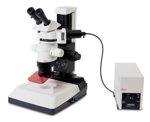 Leica MZ19F fluorescent stereo microscope