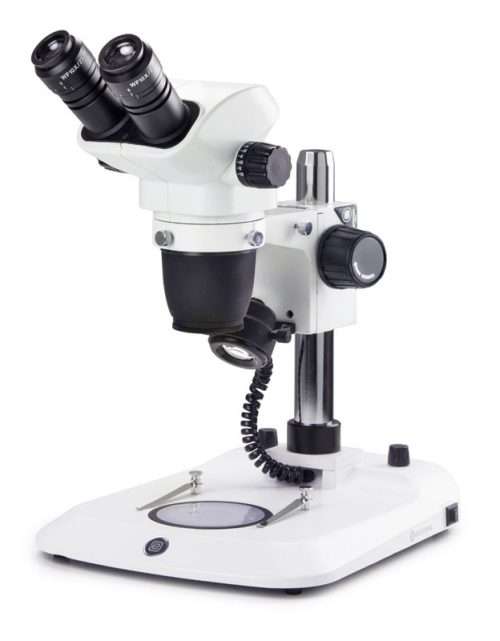 NexiusZoom stereo microscope