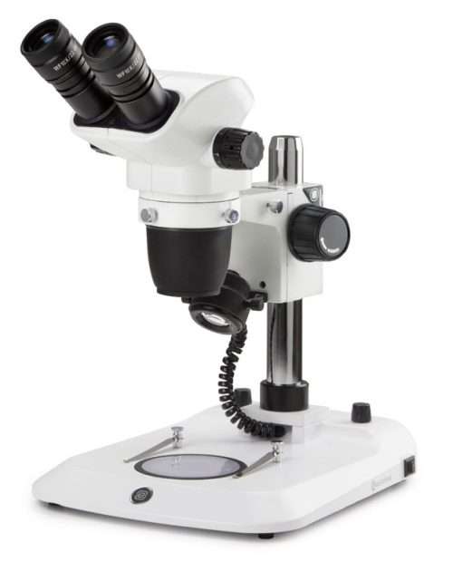 stereo microscope