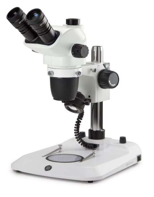 stereo microscope