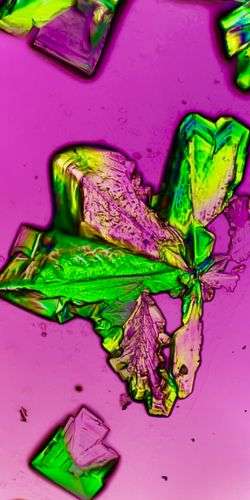 Absinthe under the microscope