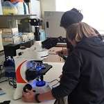 Fluorescence Microscopes for Teaching