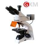 Upright/Compound Fluorescence Microscopes