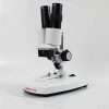 Fixed magnification stereo microscope XTX-1C by GX Microscopes