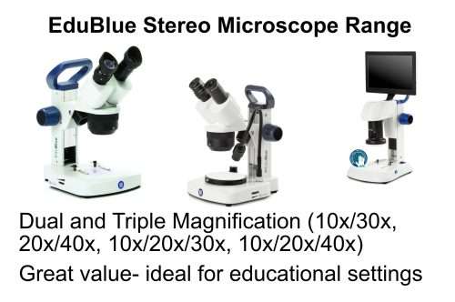 EduBlue stereo microscope